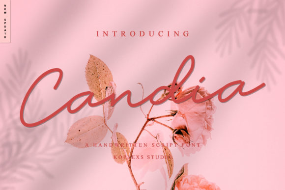 Candia: A Script Font That Adds Personality to Campaigns