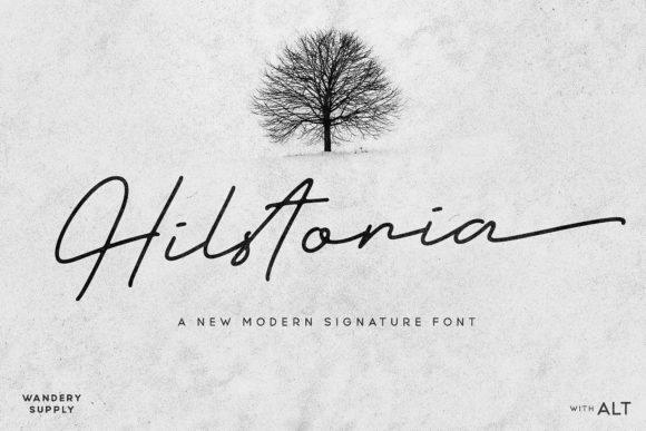 Font That Speaks Volumes: Hilstoria for Branding