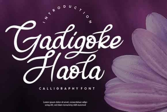 Gadigoke Haola Font for Polished Branding