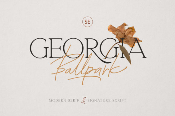 Georgia Ballpark: The Font That Elevates Every Campaign