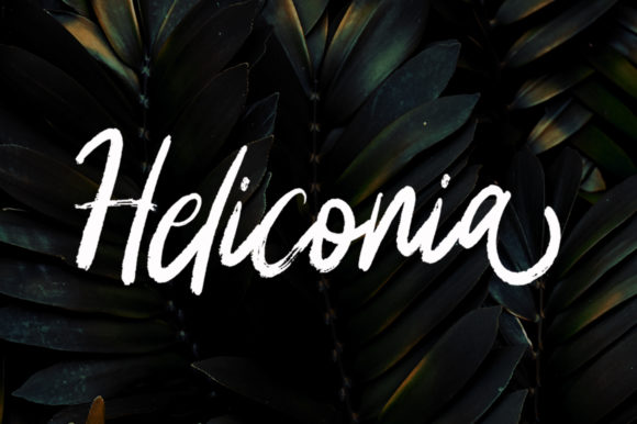 Heliconia: A Script Font for Dynamic Web Design