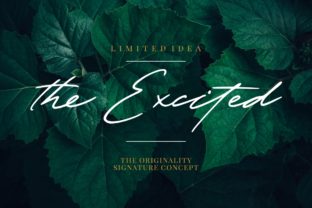 The Excited: A Bold Script Font for Creative Crafters